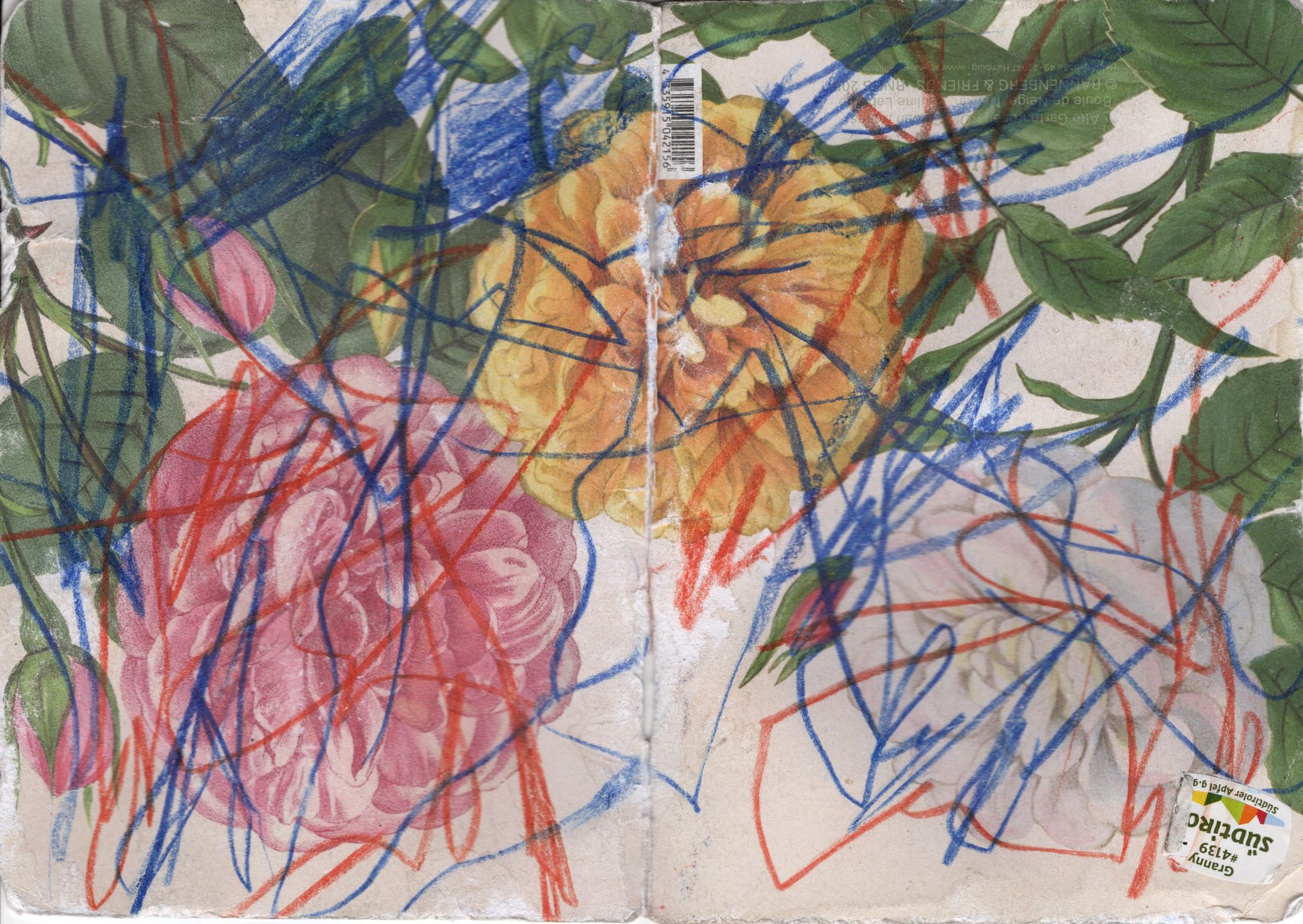 roses_25-26 cover