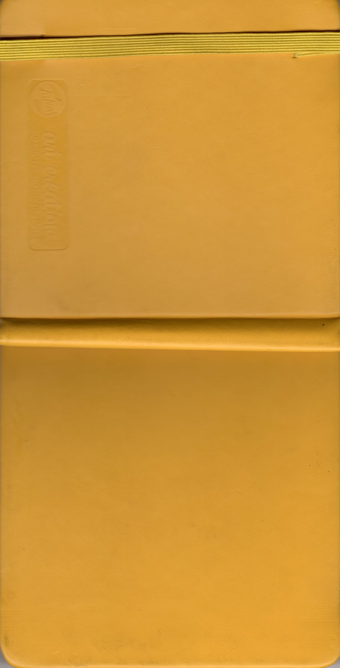 yellow_23-24 cover