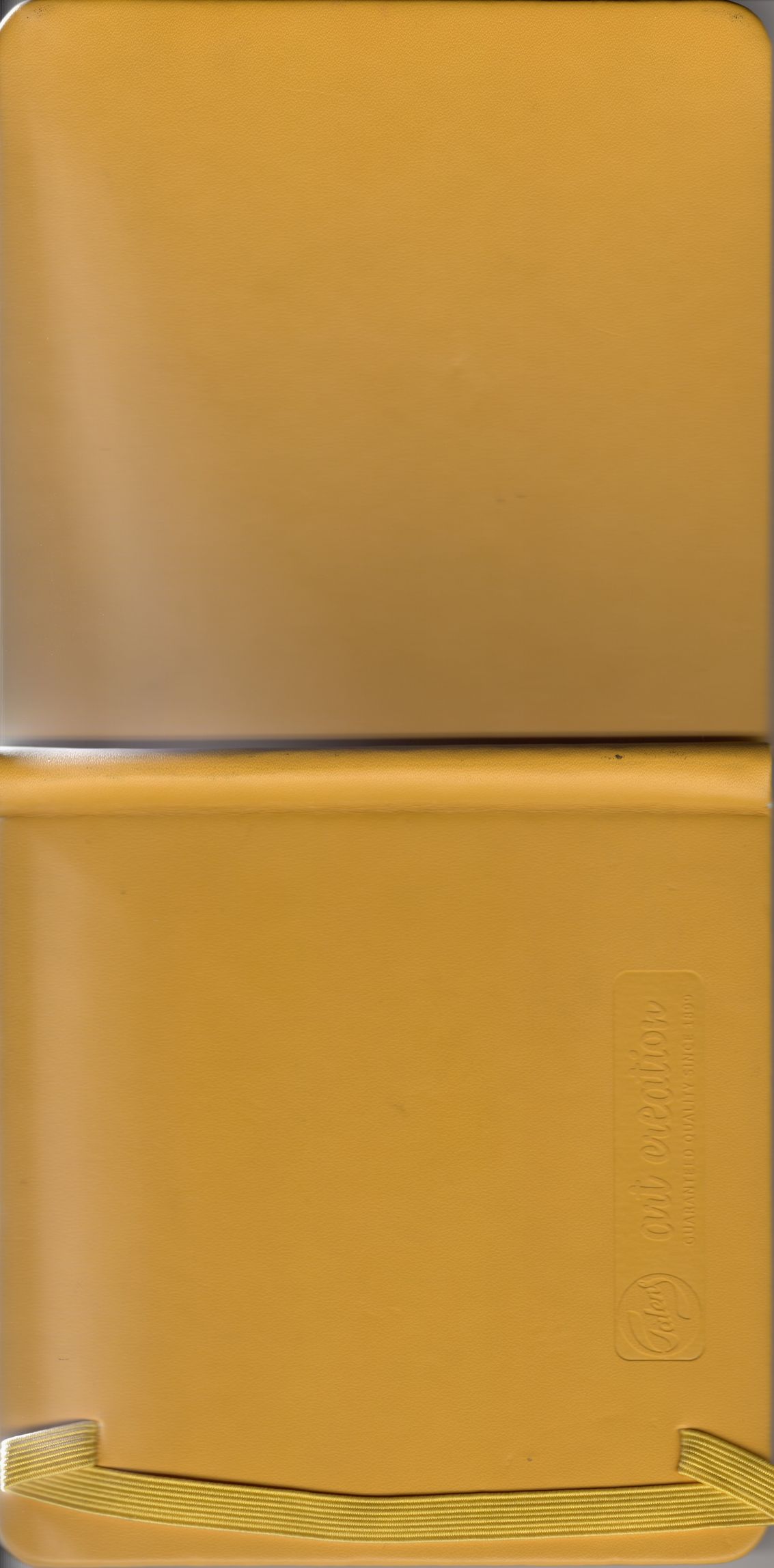 yellow_26 cover
