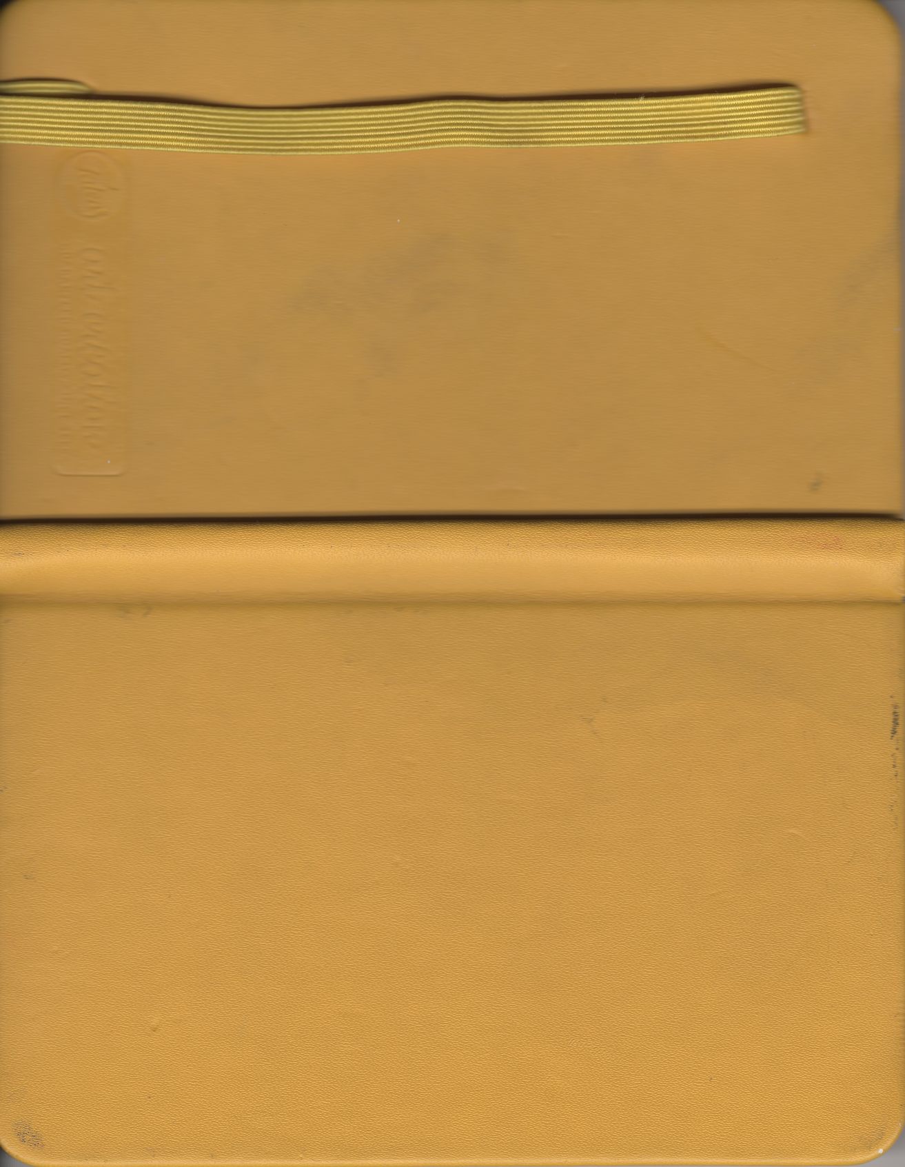 yellow_flowers_24-unfinished cover
